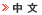 中文 ver