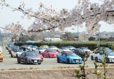 桜満開のイベント日和となりました